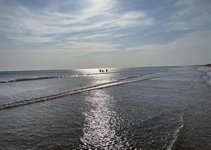 Hébergement de vacances Petite Maison Proche De L'océan Avec Piscine Chauffée, Jardin Privé Et Parking - St Hilaire De Riez - Fr-1-224c-292 *